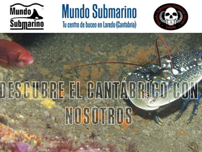 Mundo Submarino