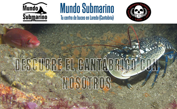Mundo Submarino