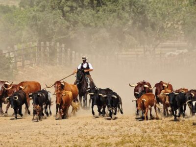 Ganadería Joaquín Buendía Peña-D. JOAQUIN BUENDÍA PEÑA