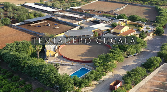 Tentadero Cucala
