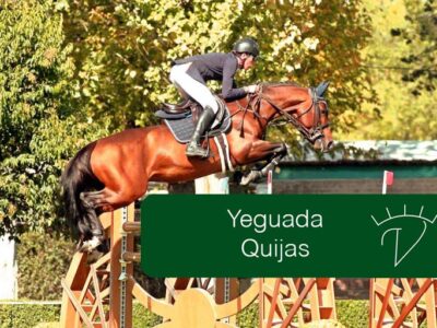 Yeguada Quijas